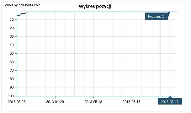 pozycjonowanie adwords Tychy